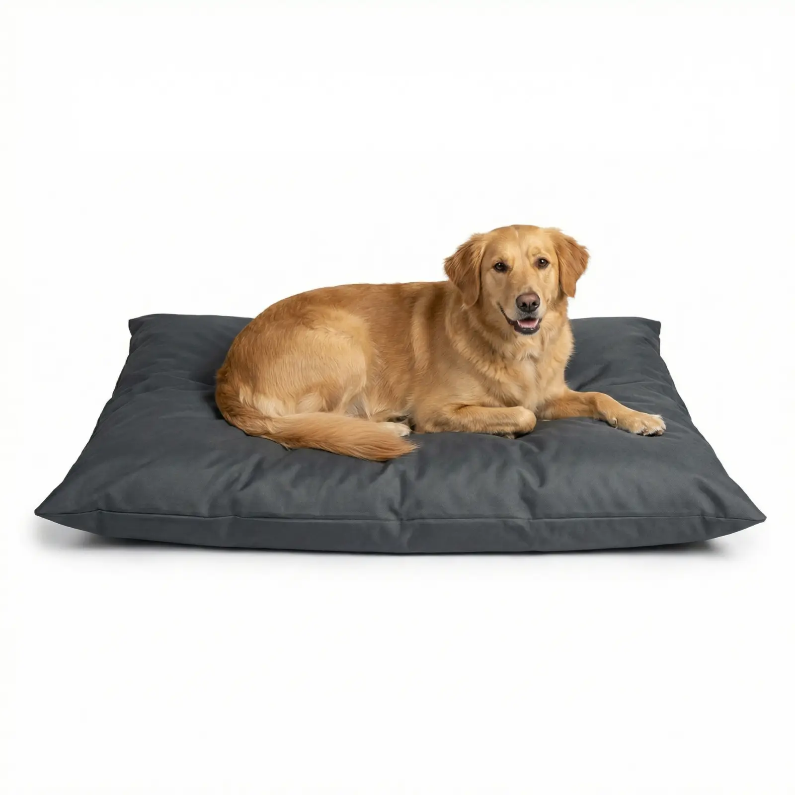 Poduszka wodoodporna legowisko dla psa - Amber