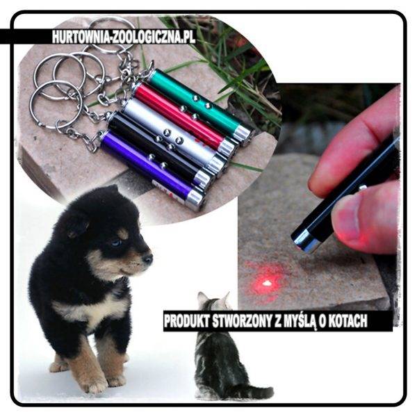 hurtownia zoologiczna laser wabik na kota lub do tresury psa