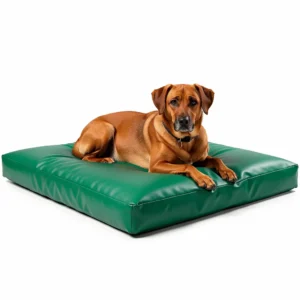 Legowisko prostokątne ekoskóra dla psa - Emerald