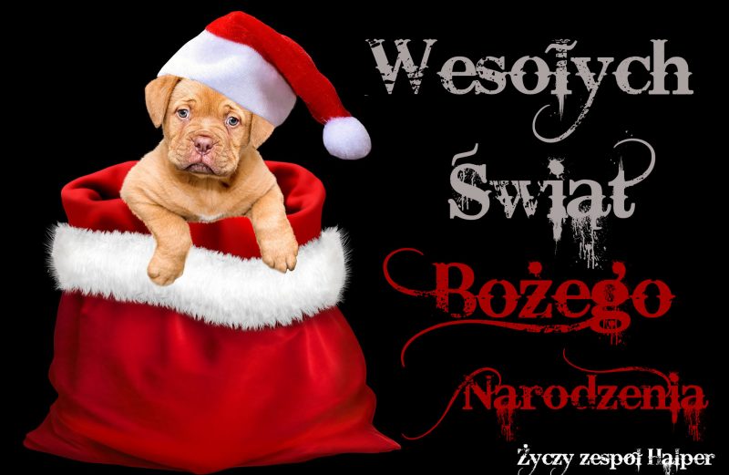 Wesołych Świąt Życzenia Bożonarodzeniowe
