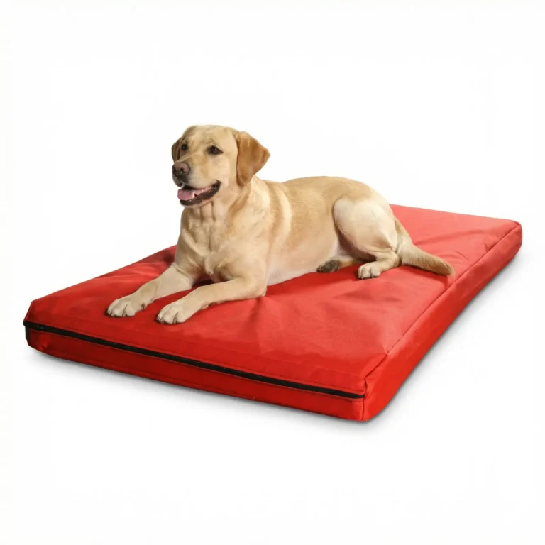 Materac dla psa wodoodporny z gąbką – Ruby czerwony