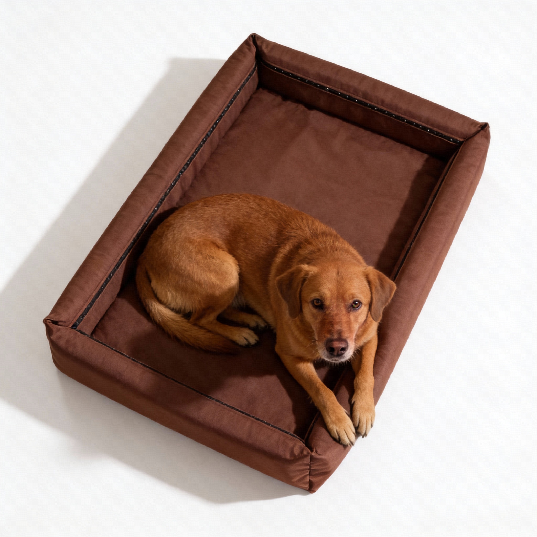 Nowoczesne legowisko dla psa Wenus idealne do każdego wnętrza brązowa
