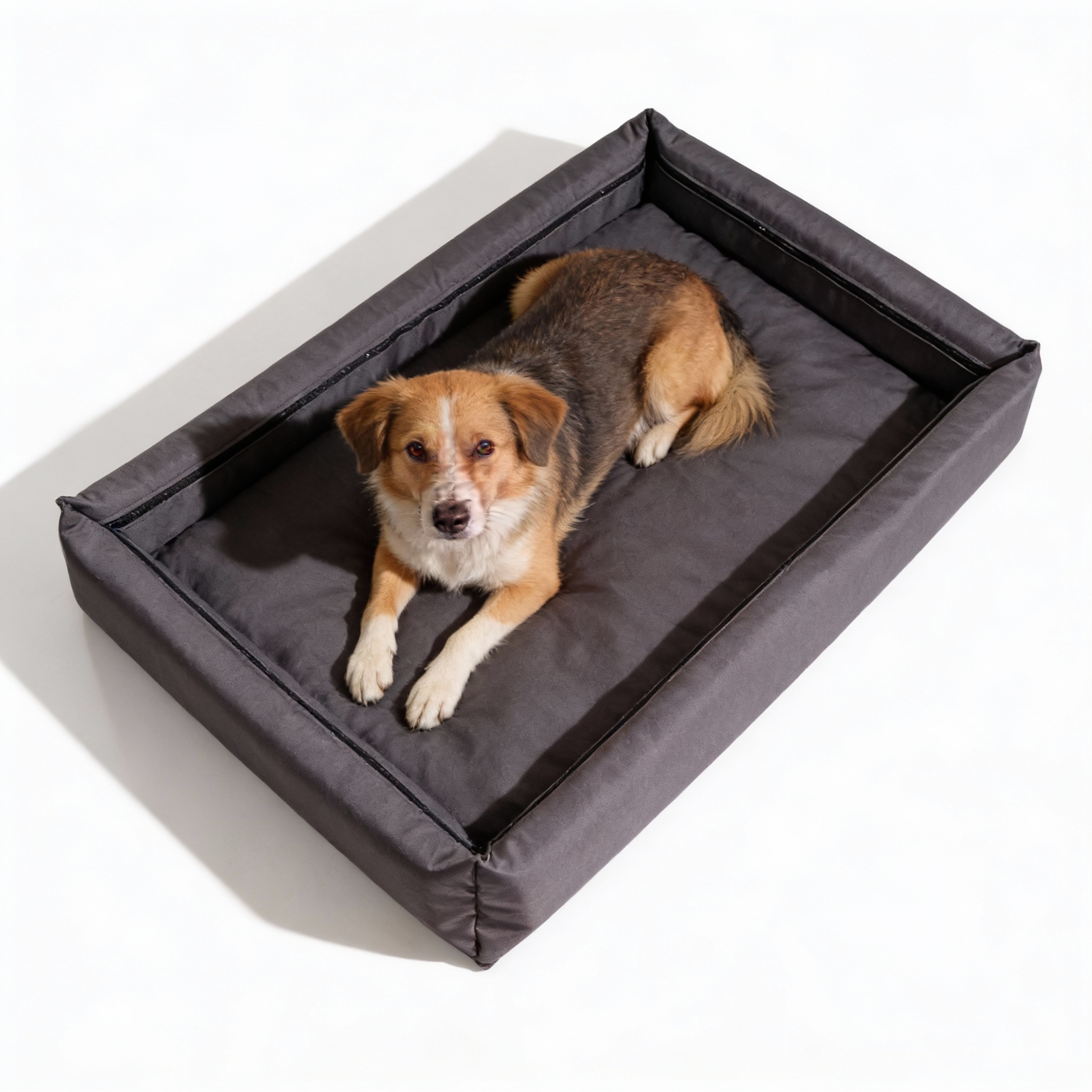 Duży pies śpiący w przestronnym posłaniu wodoodpornym Wenus czarnym