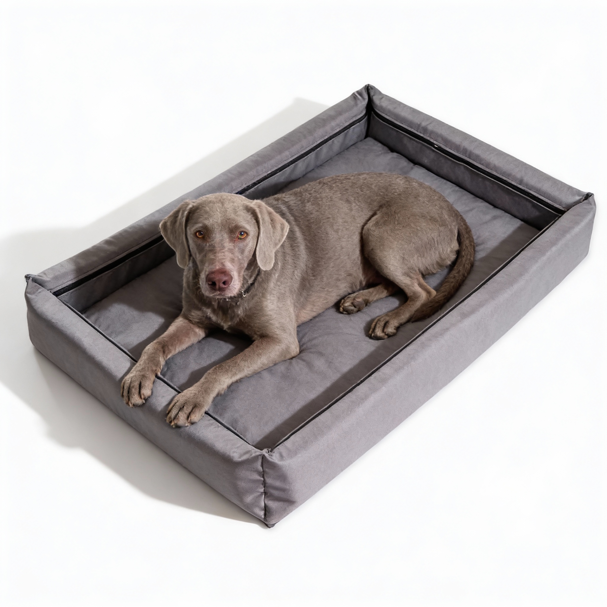 duży piesek zwinięty w kłębek na miękkiej kanapie siwej dla zwierząt