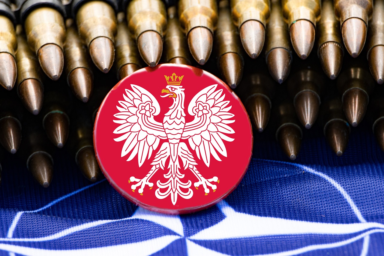 Obchody Święta Wojska Polskiego - Historia i Tradycje